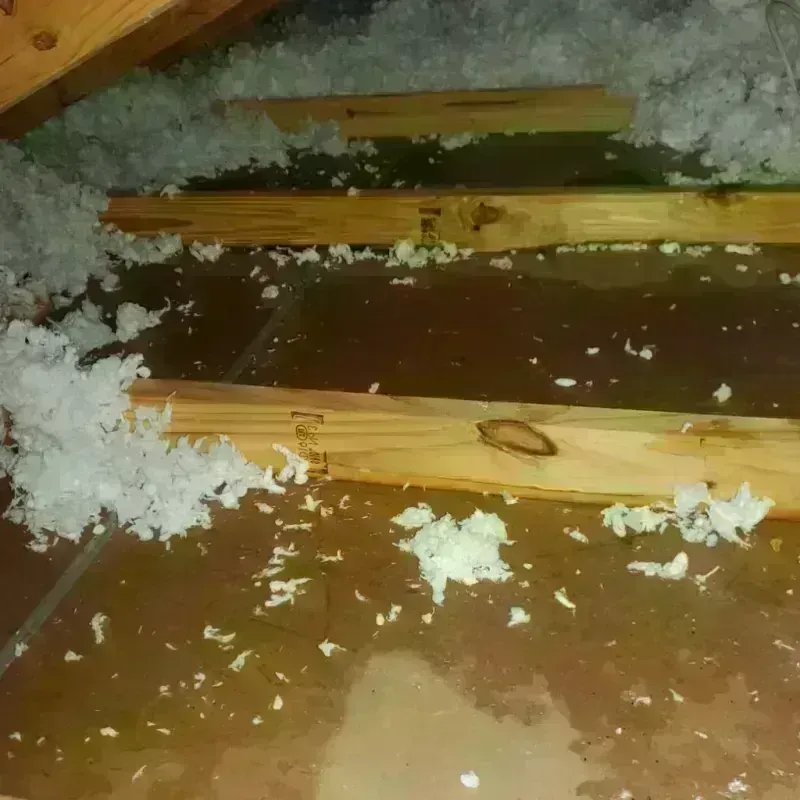 Attic Water Damage in Carthage, MS